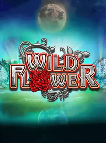 Big Time Gaming slot on CK44 Live