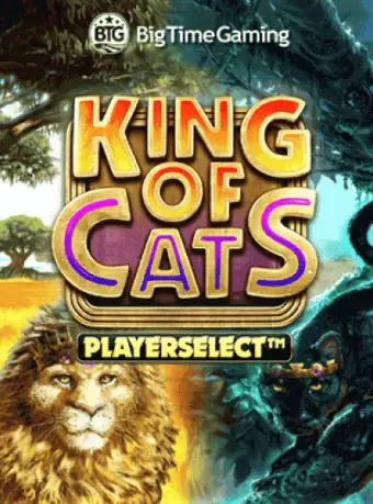 Big Time Gaming slot on CK44 Live